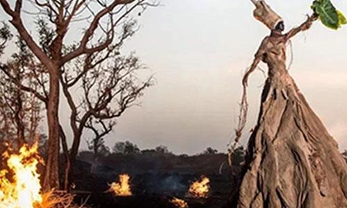 ACG国际艺术教育